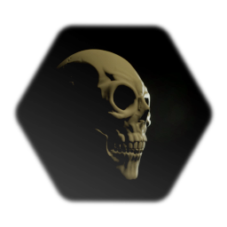 Realistic Skull