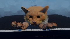 Cat Playing Piano