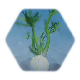 Fennel