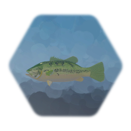 Bass Fish