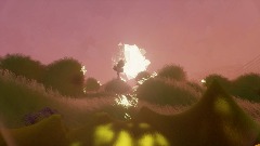 Extended Revelations
