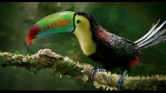 A screenshot taken in Dreams. 5 of 13.