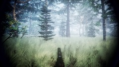 Forest investigation