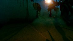 SWAMPLAND DISTORTION