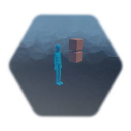 My True First Person Perspective Camera