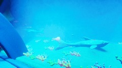 A screenshot taken in Dreams. 23 of 30.