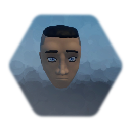 Sokka's head