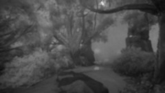 Primera Creación >:D