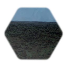 Empty forest landscape 1