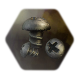 Philips Head Screw(s)