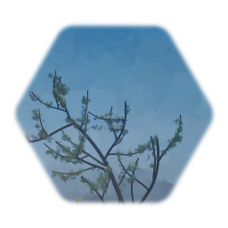 Undergrowth Forest Plant low thermo