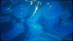 A screenshot taken in Dreams. 24 of 28.