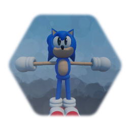 Sonic model