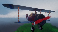 Wario Goes Skydiving