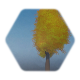 Autumn tree
