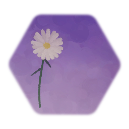 Daisy