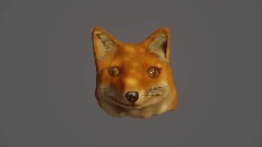 Fox Head (Attempt)