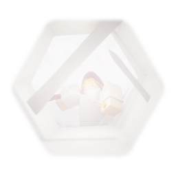 Roblox ninja guy
