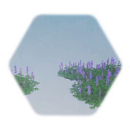 American Lupin Flowers