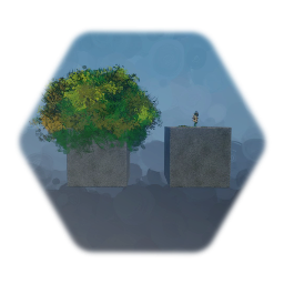 Modern Potted Bushes