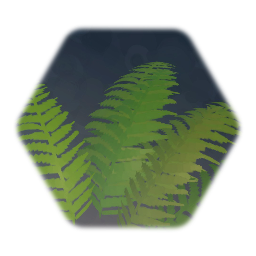 Fern