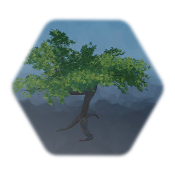 Little Tree