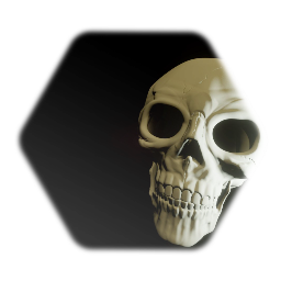 Realistic Skull