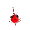 display_napkin