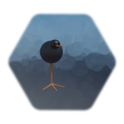 Damn kiwi