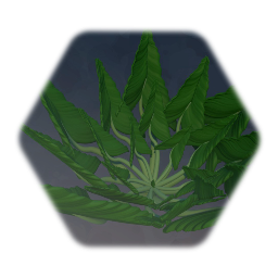 Leafy Plant