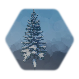 Snowy Blue Spruce