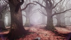 Autumn forest in the fog valley*(MM music)