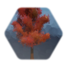Autumn Tree