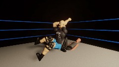 Stone Cold Steve Austin's fatality