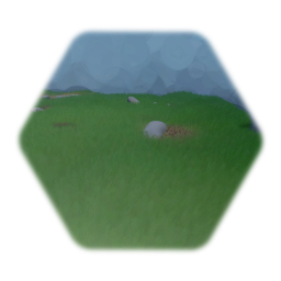 Grass and rocks