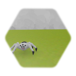 Cute Little Spider - 30/8/2020