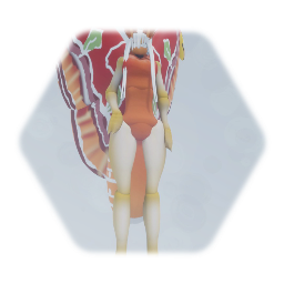 Atlas moth