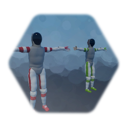 Fencer Model