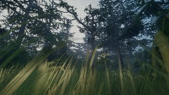 The forest v2 wip