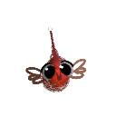 Mimiswimi