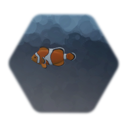 Clown fish