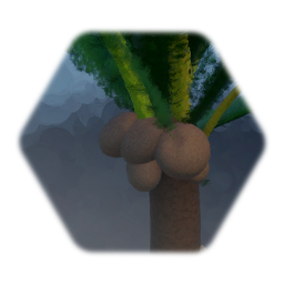 Coconut tree