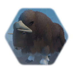 Musk Ox