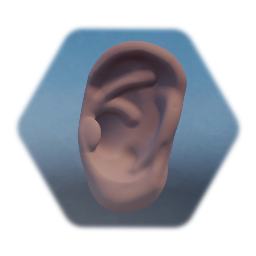 Ear