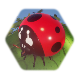 Mochi Ladybird / Ladybug