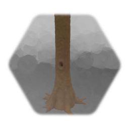 Large Tree Trunk