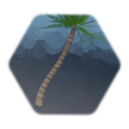 Tall Palm Tree