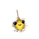 chickin_faz