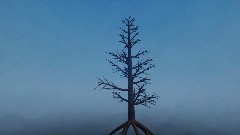 Dead Pine Tree ( Xmas)