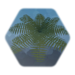 Fern 4